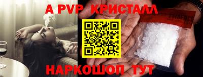 прущие грибы Гатчина