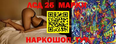 прущие грибы Гатчина