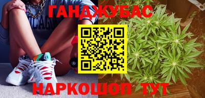 прущие грибы Гатчина