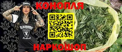 ешки Гай