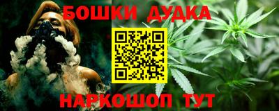 ешки Гай