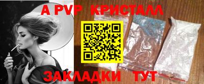 прущие грибы Гатчина