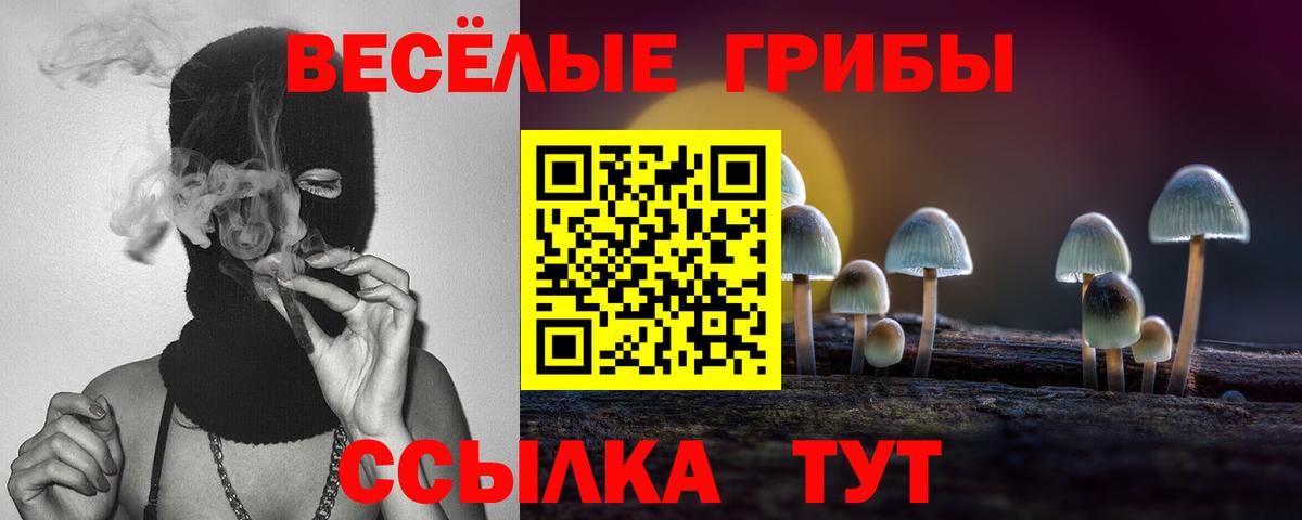 Галлюциногенные грибы Psilocybe Малоярославец